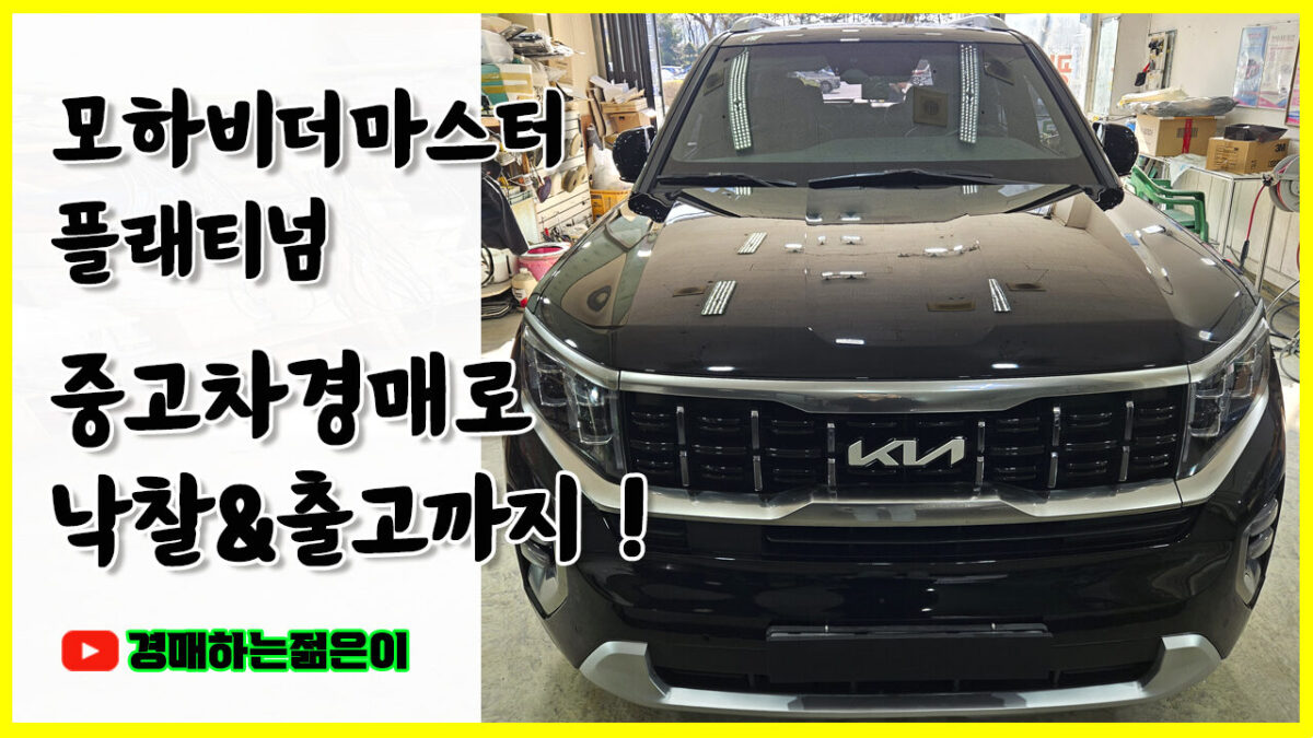 차량 이미지